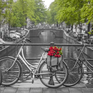 Acrylglasbild Grachten in Amsterdam